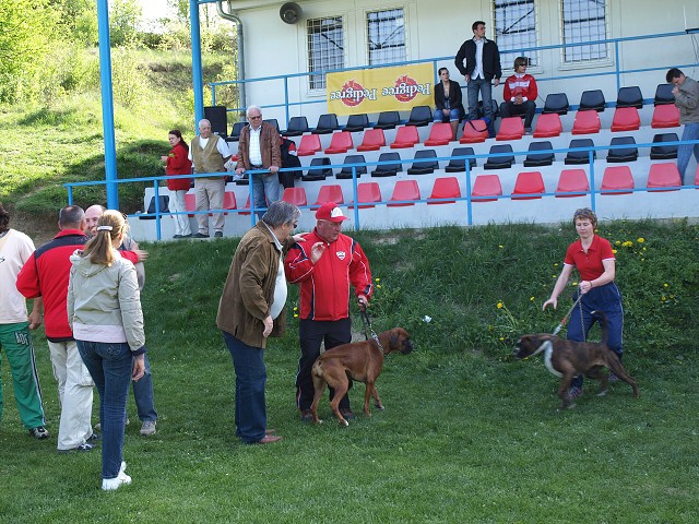 www.atibox.net * www.euroboxer.eu * www.boxergenealogia.eu